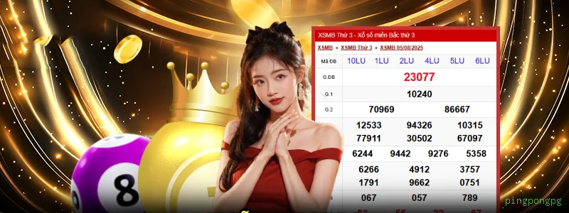 pingpongpg Plataforma